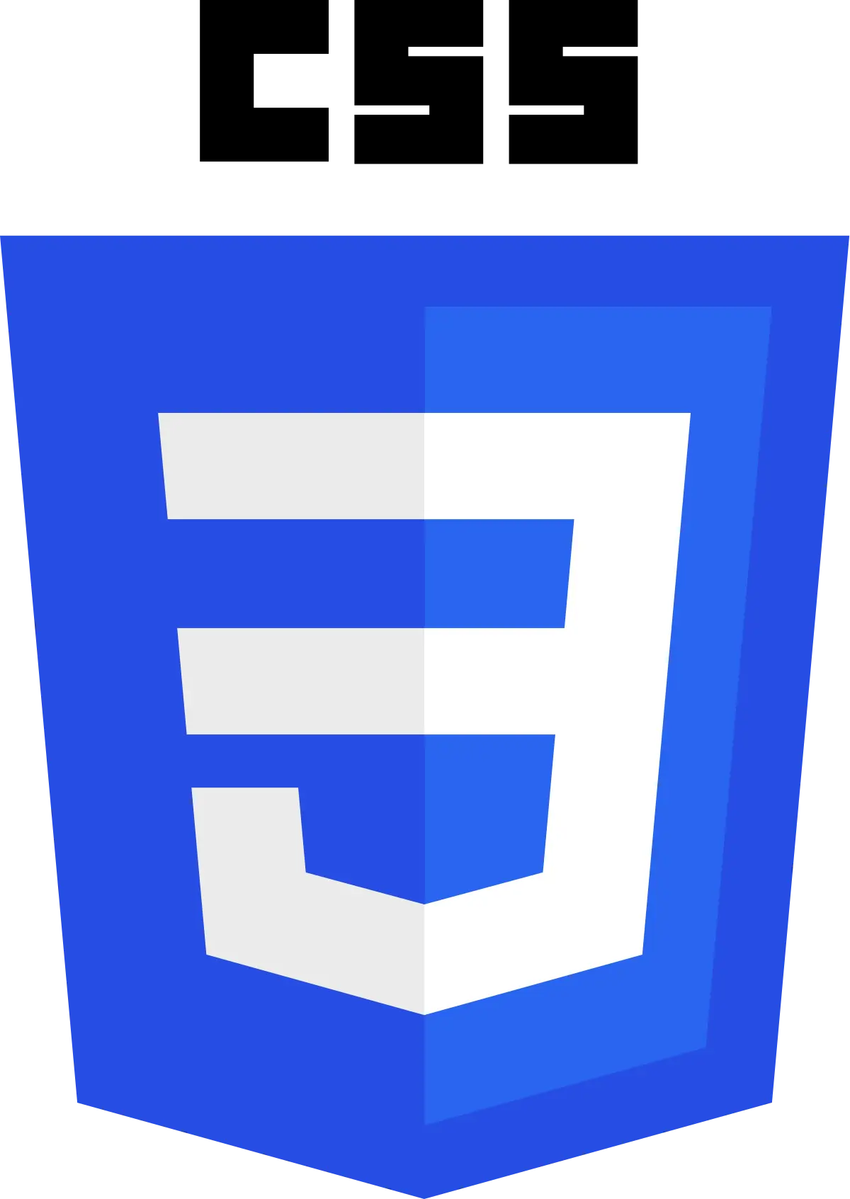 Logo of CSS3